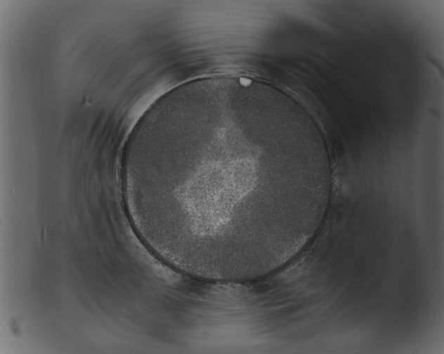 X0000103961091200810101239