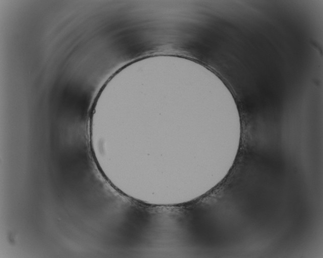 X0000103961092200810101239