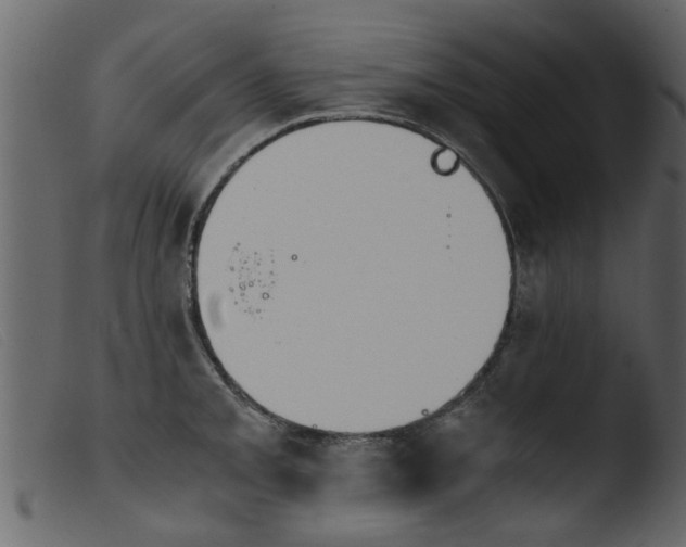 X0000103961093200810101239