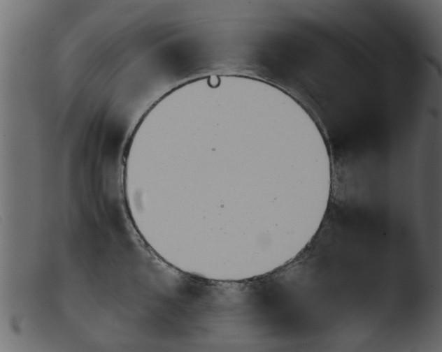 X0000103961096200810101239