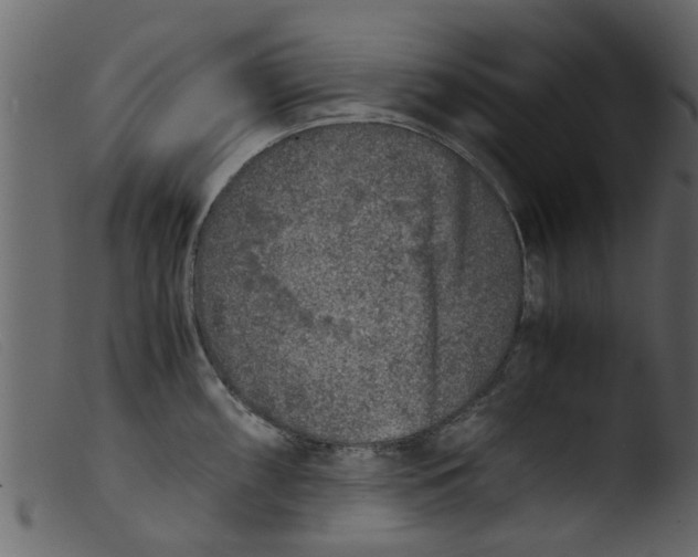 X0000103961098200810101239