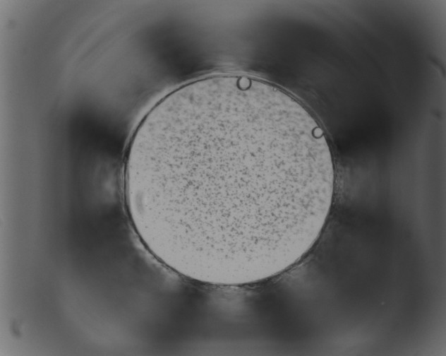 X0000103961100200810101239