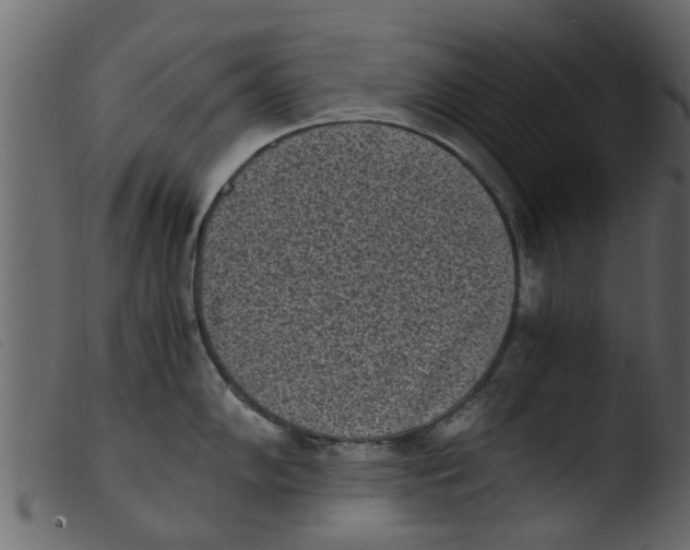 X0000103961102200810101239