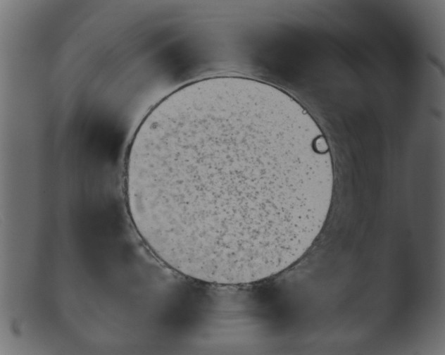 X0000103961104200810101239