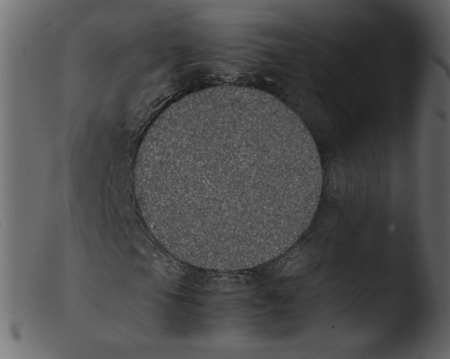 X0000103961105200810101238