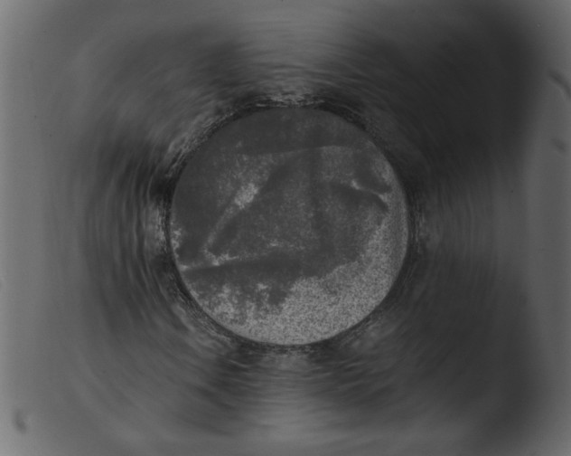 X0000103961106200810101238