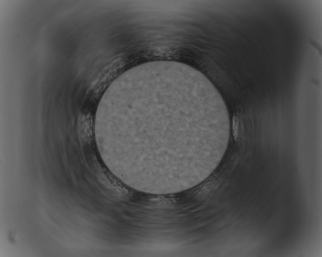 X0000103961107200810101238