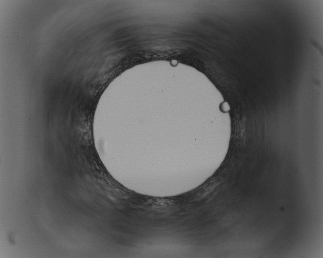 X0000103961109200810101238