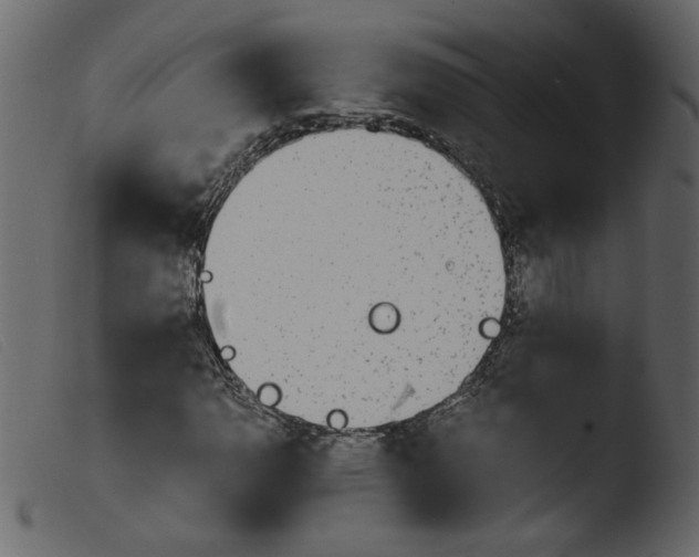 X0000103961110200810101238