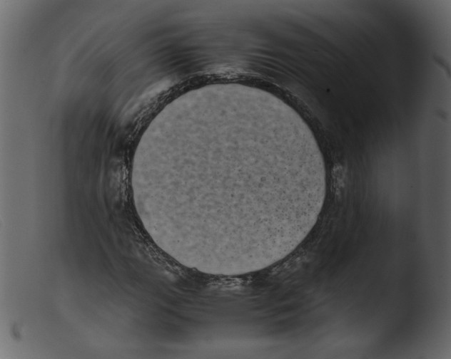 X0000103961111200810101238