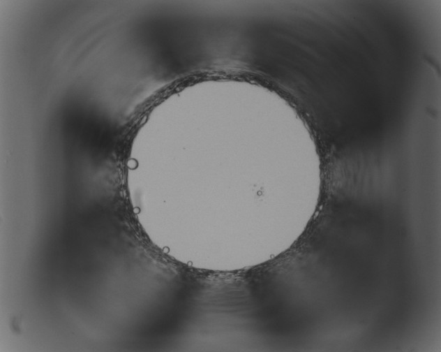 X0000103961112200810101238