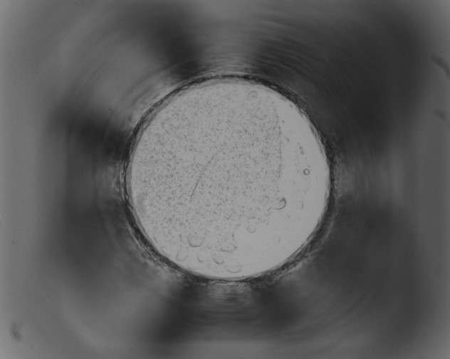 X0000103961113200810101238