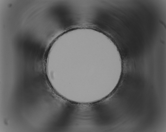 X0000103961114200810101238