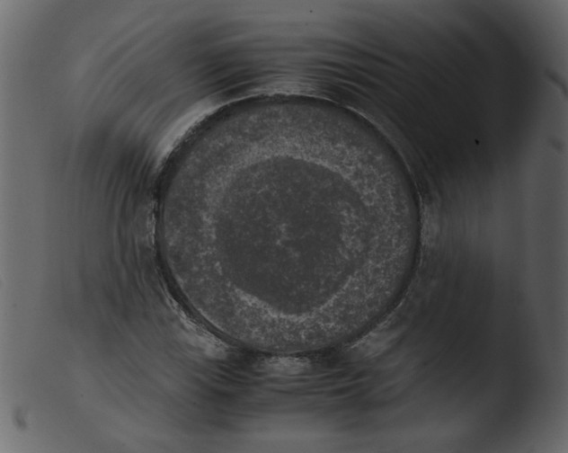 X0000103961115200810101238