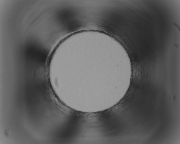 X0000103961116200810101238