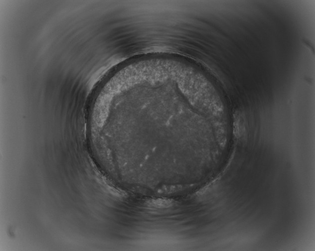 X0000103961117200810101238