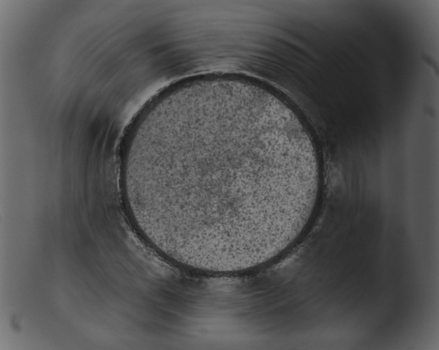 X0000103961118200810101238