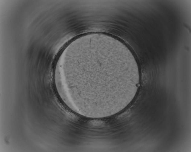 X0000103961119200810101238