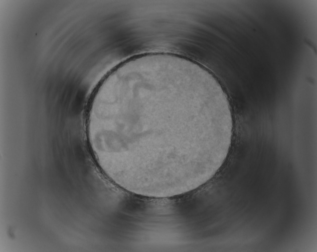 X0000103961120200810101238