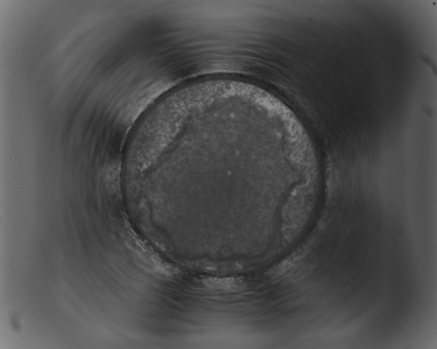 X0000103961121200810101238