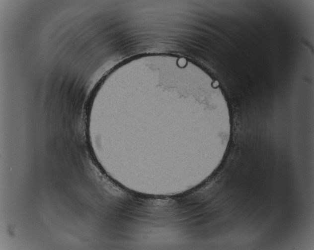 X0000103961122200810101238