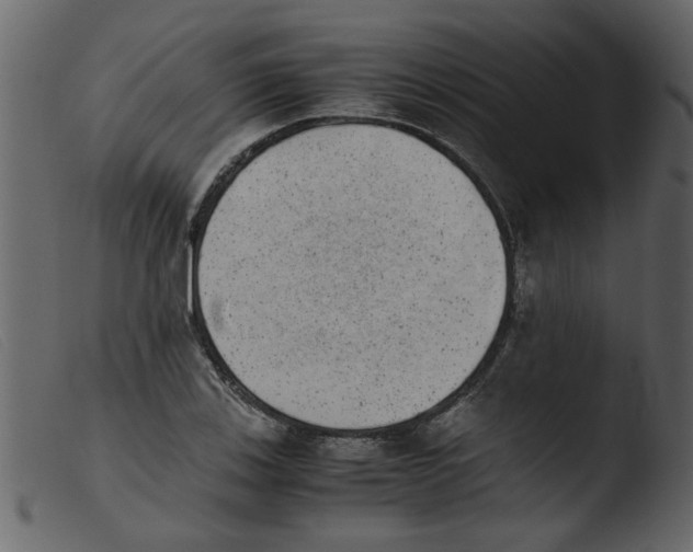 X0000103961123200810101238