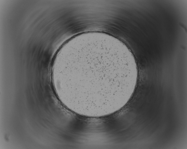 X0000103961124200810101238