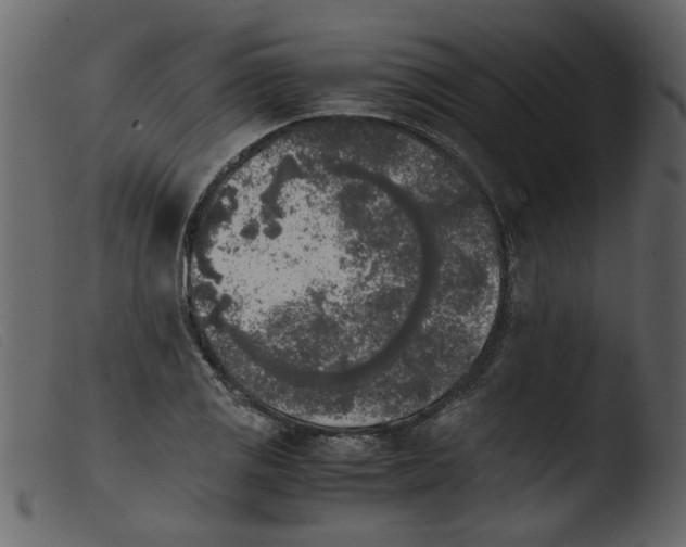 X0000103961125200810101238