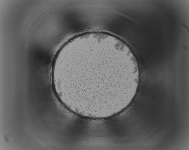 X0000103961126200810101238