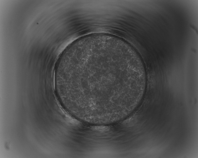 X0000103961127200810101238