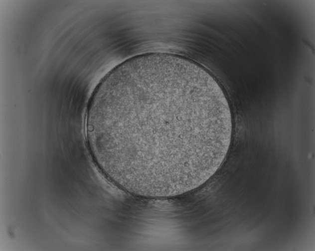 X0000103961128200810101238