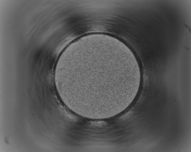 X0000103961129200810101238