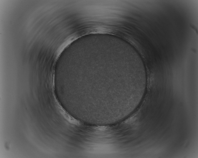 X0000103961130200810101238