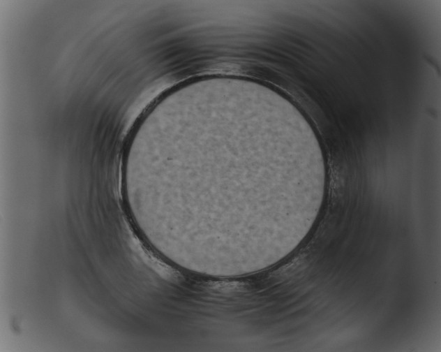 X0000103961131200810101238