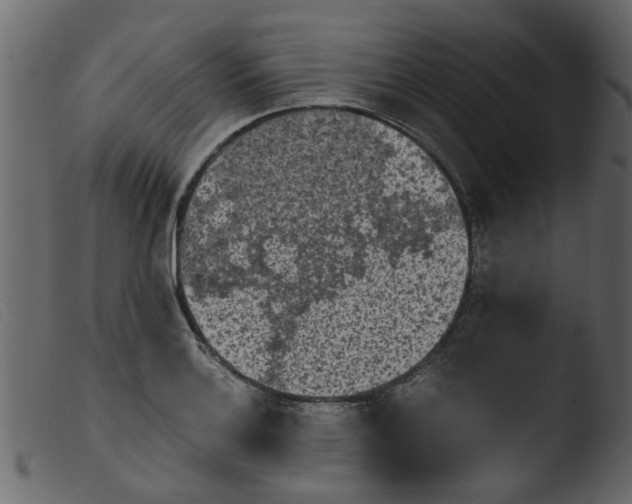 X0000103961132200810101238