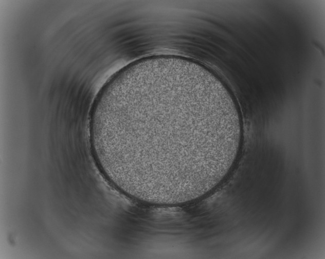 X0000103961133200810101238