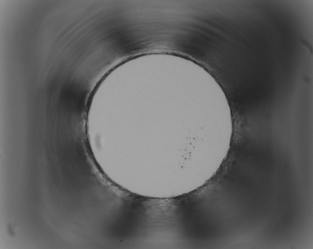 X0000103961134200810101238