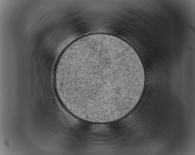 X0000103961135200810101238