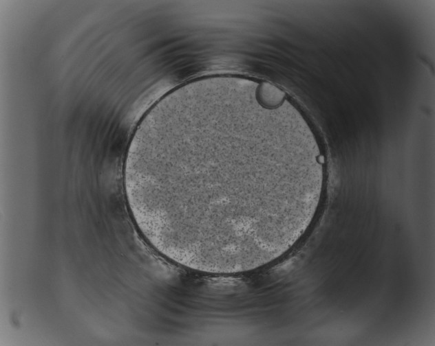 X0000103961137200810101238