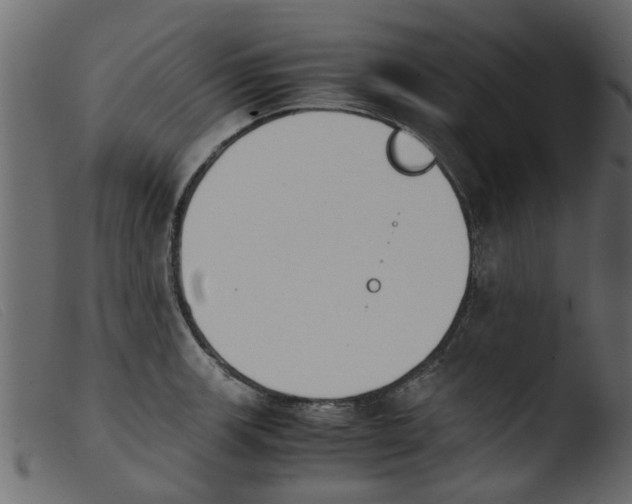 X0000103961139200810101238