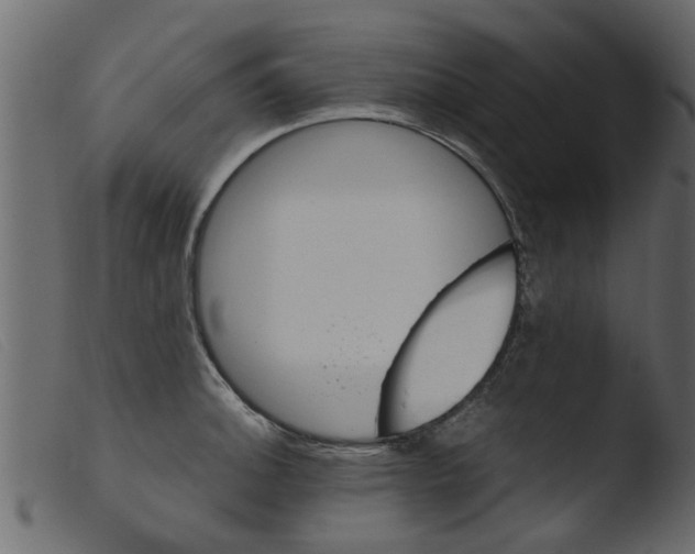 X0000103961140200810101238