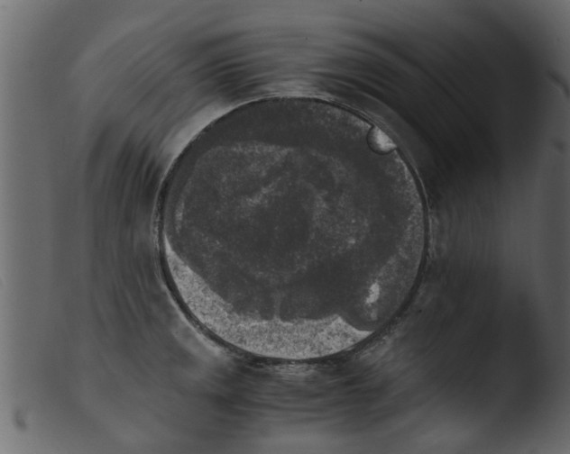 X0000103961141200810101238