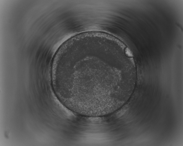 X0000103961142200810101238