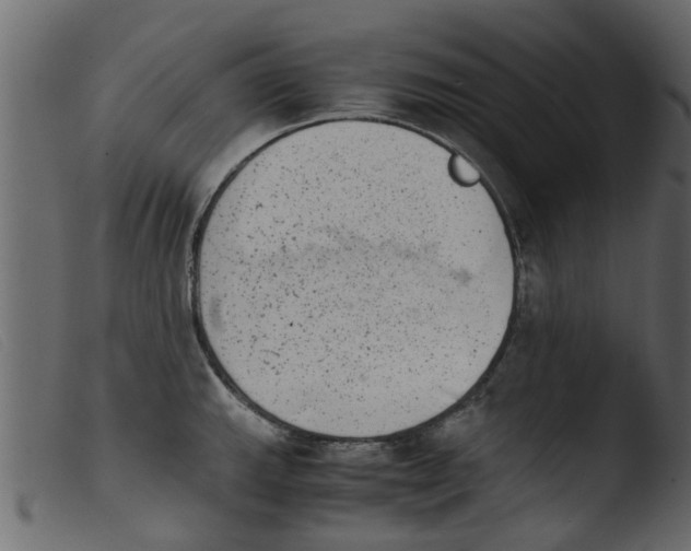 X0000103961143200810101238