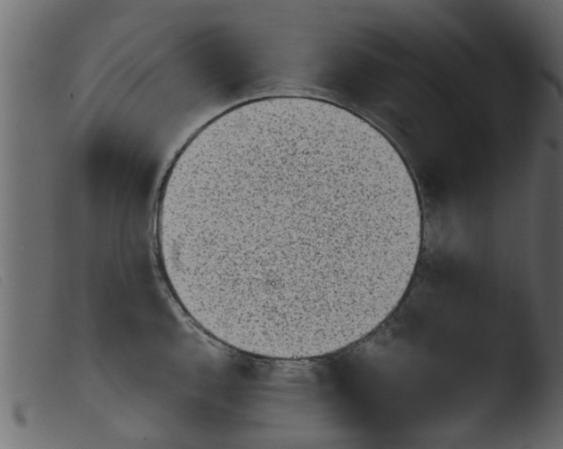 X0000103961144200810101238