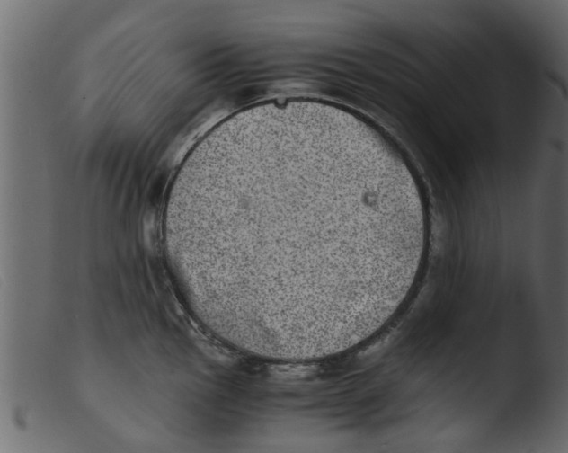 X0000103961145200810101238