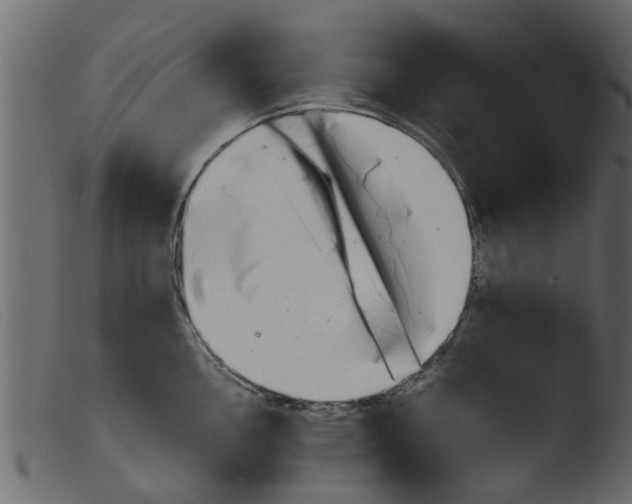 X0000103961146200810101238