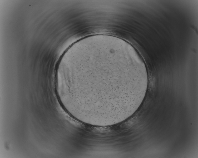 X0000103961147200810101238