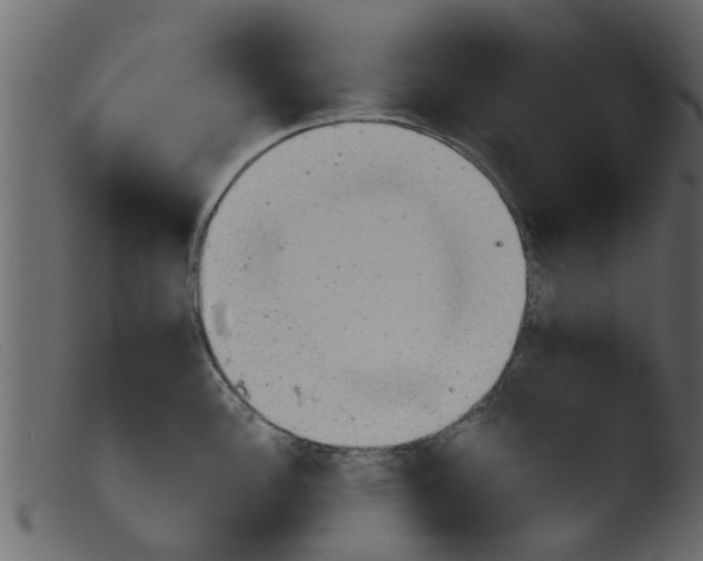 X0000103961148200810101238