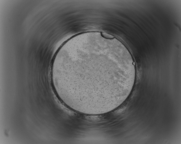 X0000103961149200810101238